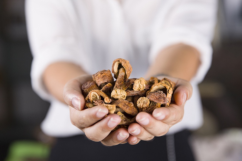 農(nóng)產(chǎn)品企業(yè)品牌形象宣傳片的視頻拍攝策劃細節(jié)